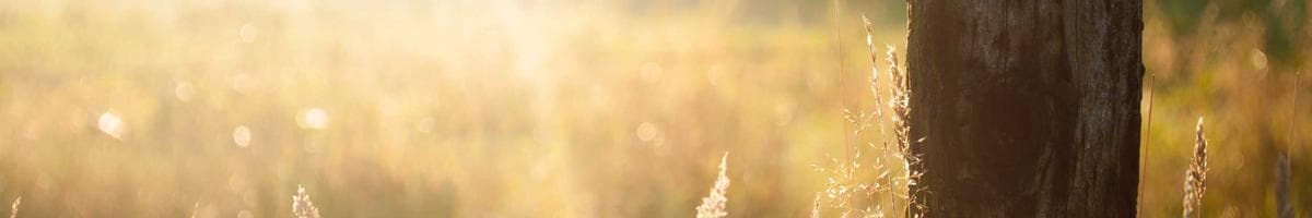 Ana sayfa reklam veya duyuru bannerı